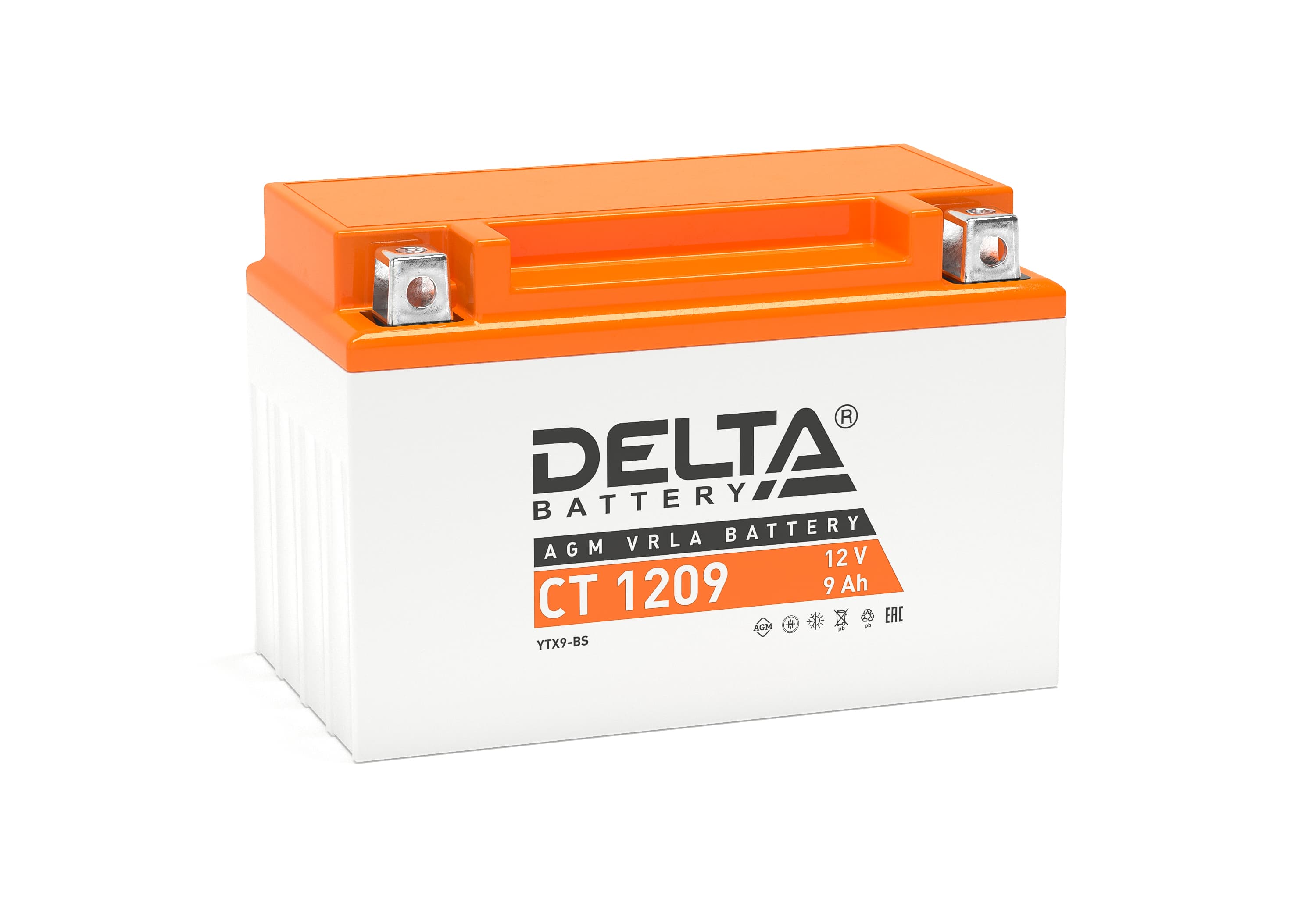 CT 1209 Delta Аккумуляторная батарея купить по цене 2833 руб..  Самые дешёвые цены на Для мототехники